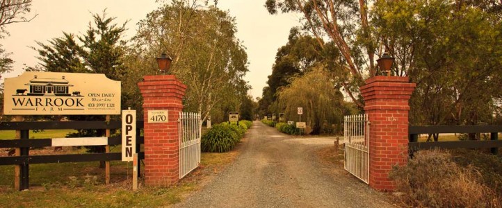 Welcome to Warrook Farm
